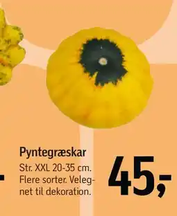 Føtex Pyntegræskar, DKK 45 tilbud