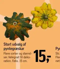 Føtex Stort udvalg af pyntegræskar, DKK 15 tilbud