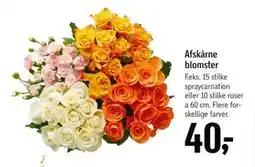 Føtex Afskårne blomster, DKK 40 tilbud