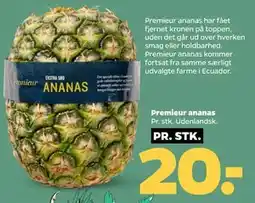 Netto Premieur ananas, DKK 20 tilbud