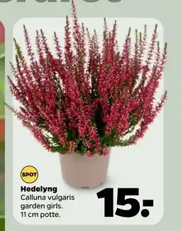 Netto Hedelyng, DKK 15 tilbud