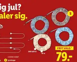 Lidl LIVARNO HOME , DKK 79 tilbud