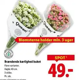 Lidl Brændende kærlighed buket, DKK 49 tilbud
