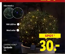 Lidl Livarno home® lyskæde stk. tilbud