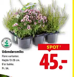 Lidl Udendørsmiks tilbud