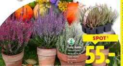 Lidl Lyng i bakke tilbud