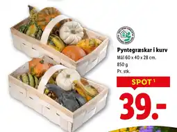 Lidl Pyntegræskar i kurv tilbud
