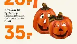 SPAR Græskar til Fyrfadslys, DKK 35 tilbud