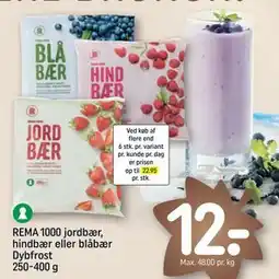 REMA 1000 REMA 1000 jordbær, hindbær eller blåbær Dybfrost 250-400 g, DKK 12 tilbud
