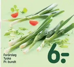 REMA 1000 Forårsløg Tyske Pr. bundt, DKK 6 tilbud