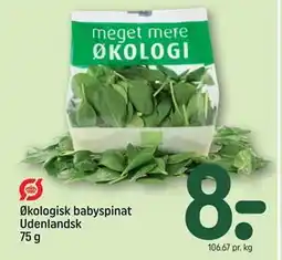 REMA 1000 Økologisk babyspinat Udenlandsk 75 g, DKK 8 tilbud