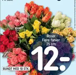 REMA 1000 Roser Flere farver 25 cm, DKK 12 tilbud