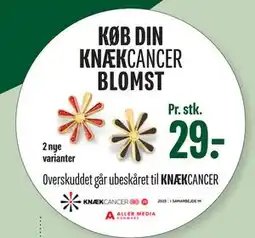 Min Købmand KNÆKCANCER BLOMST, DKK 29 tilbud