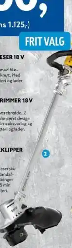 Davidsen DEWALT Græstrimmer 18 v tilbud