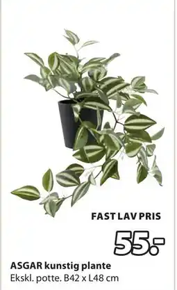 JYSK ASGAR kunstig plante, DKK 55 tilbud
