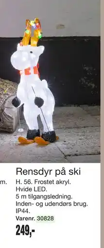 Harald Nyborg Rensdyr på ski, DKK 249 tilbud