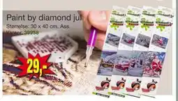 Harald Nyborg Paint by diamond jul, DKK 29 tilbud