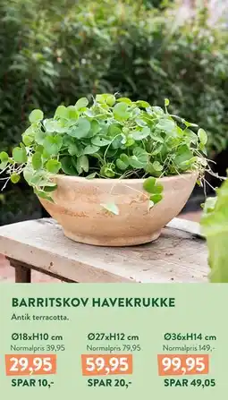 Plantorama BARRITSKOV HAVEKRUKKE tilbud