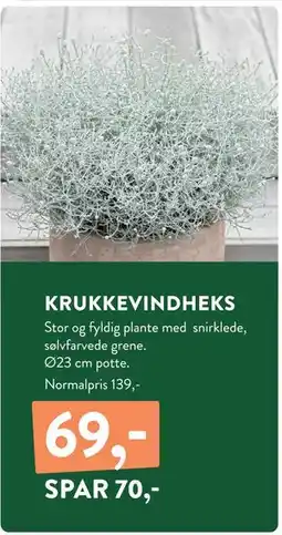 Plantorama KRUKKEVINDHEKS, DKK 69 tilbud