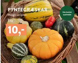 Plantorama PYNTEGRÆSKAR tilbud