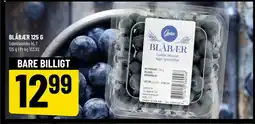 Løvbjerg Blåbær tilbud