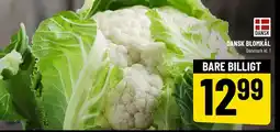 Løvbjerg Dansk blomkål tilbud
