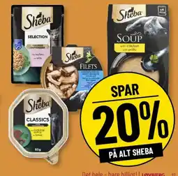 Løvbjerg På alt Sheba tilbud