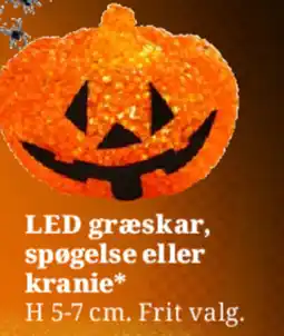 Dagli'Brugsen LED græskar, spøgelse eller kranie tilbud