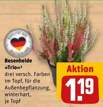 REWE DE Besenheide Trio tilbud