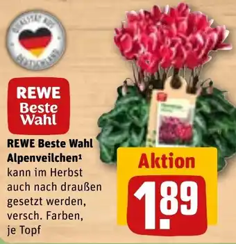 REWE DE REWE Beste Wahl Alpenveilchen tilbud