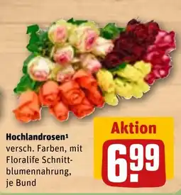 REWE DE Hochlandrosen tilbud