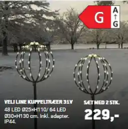 XL-BYG Veli line kuppeltræer 31v tilbud