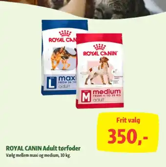 Maxi Zoo ROYAL CANIN Adult tørfoder tilbud