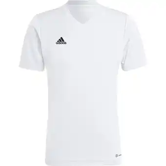 Sport 24 adidas Entrada 22 Trænings T-shirt tilbud