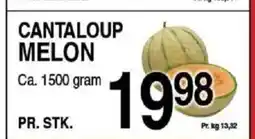 ABC Lavpris Cantaloup melon tilbud