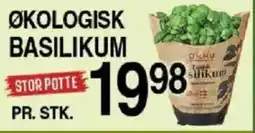 ABC Lavpris Økologisk basilikum tilbud