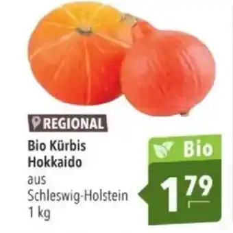 Bio Kürbis Hokkaido