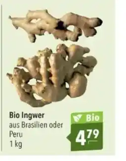 Citti Bio Ingwer tilbud