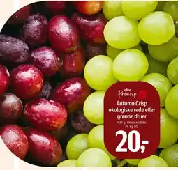 Føtex Salling princip autumn crisp økologiske røde eller tilbud