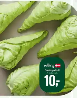 Føtex Dansk spidskål tilbud