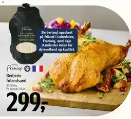 Føtex Salling princip berberie frilandsand tilbud