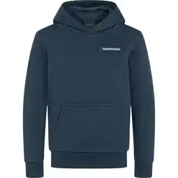 Sport 24 Peak Performance Logo Hættetrøje Børn tilbud