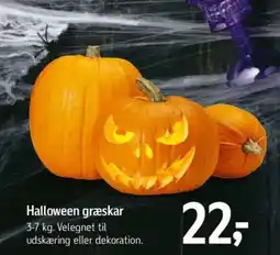 Føtex Halloween græskar tilbud