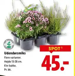 Lidl Udendørsmiks, DKK 45 tilbud