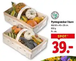Lidl Pyntegræskar i kurv, DKK 39 tilbud