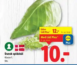 Lidl Dansk spidskål tilbud