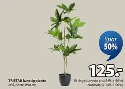 JYSK TRISTAN kunstig plante, DKK 125 tilbud