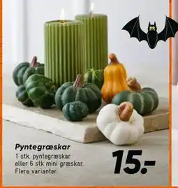 Bilka Pyntegræskar, DKK 15 tilbud