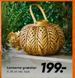 Bilka Lanterne græskar, DKK 199 tilbud