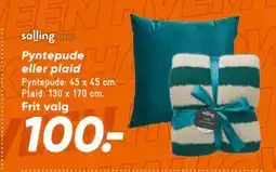 Bilka Pyntepude eller plaid, DKK 100 tilbud